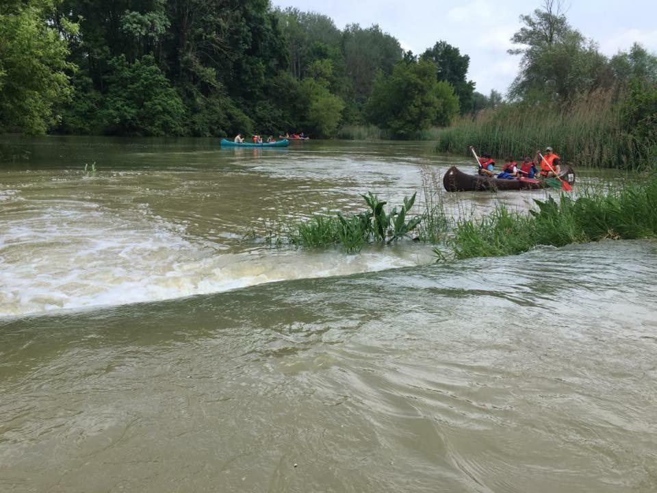 מלון טולן Donaupark Camping Tulln מראה חיצוני תמונה